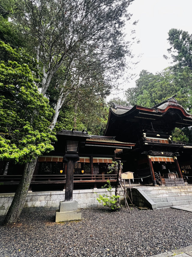 「神様って、本当にいるのかも…」そんな感覚に包まれる場所が、長野にはあります。