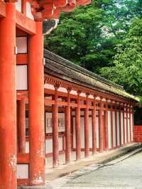 ～鵜阪神社～信仰之境～