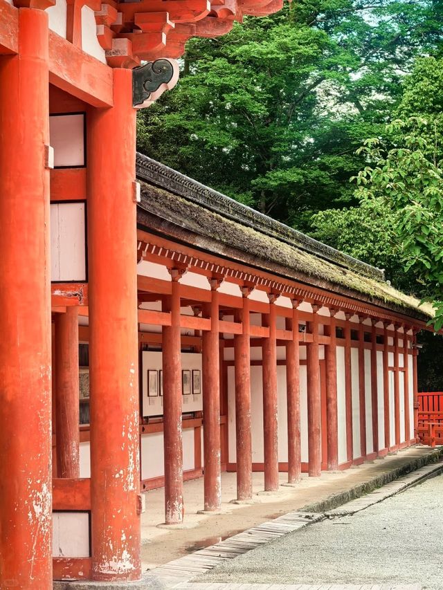 ～鵜阪神社～信仰之境～