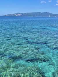【海の中をのぞいてみよう】沖縄の海を間近に感じる「ブセナ海中公園」
