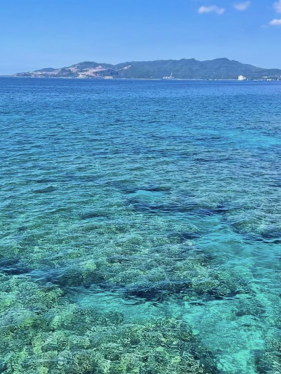 【海の中をのぞいてみよう】沖縄の海を間近に感じる「ブセナ海中公園」
