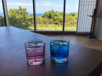 全室オーシャンビュー🌊✨伊豆絶景が拝めるラウンジ付きお宿🍸
