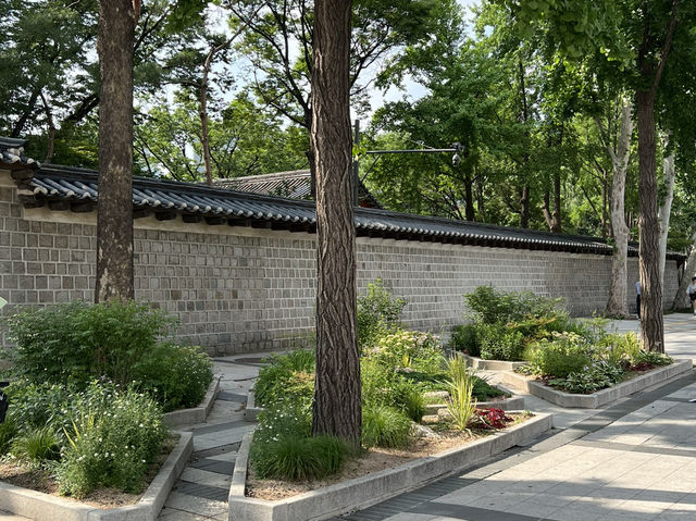 덕수궁 돌담길