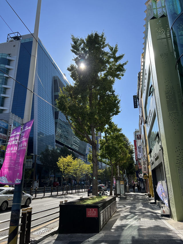Walking through Seomyeon