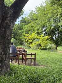 No cafe just coffee คาเฟ่อยุธยา