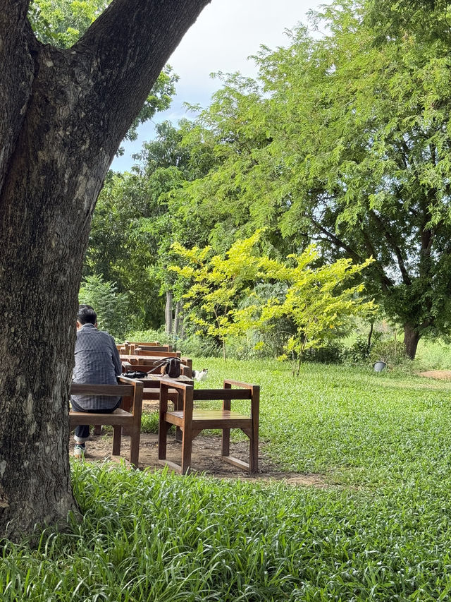 No cafe just coffee คาเฟ่อยุธยา