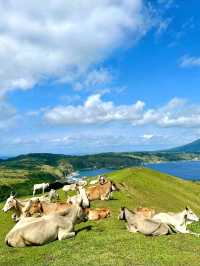 Rolling Marlboro Hills: The Breathtaking Beauty of Batanes