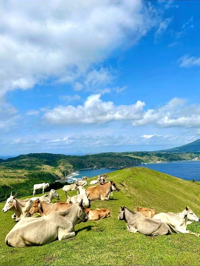 Rolling Marlboro Hills: The Breathtaking Beauty of Batanes
