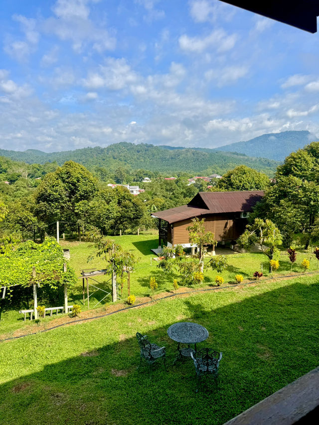 🌲 Weekend Escape: Wood Story Retreat, Titi (Negeri Sembilan)