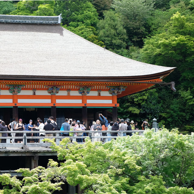 Kiyomizu-dera วัดดังเมืองเกียวโต 🇯🇵