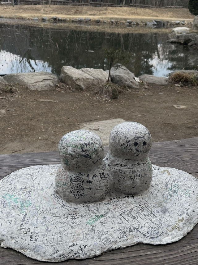 🌿 Nami Island ~ Where Nature Feels Like a Poem 🍂
