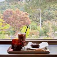 Owol School Cafe