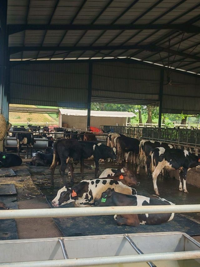 🍓 Farm Fresh @ UPM – A Fun & Fresh Escape from the City! 🐄🌾