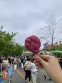 ดิสนี่ย์แลนด์ที่ใหญ่ที่สุดในเอเชีย Shanghai Disney