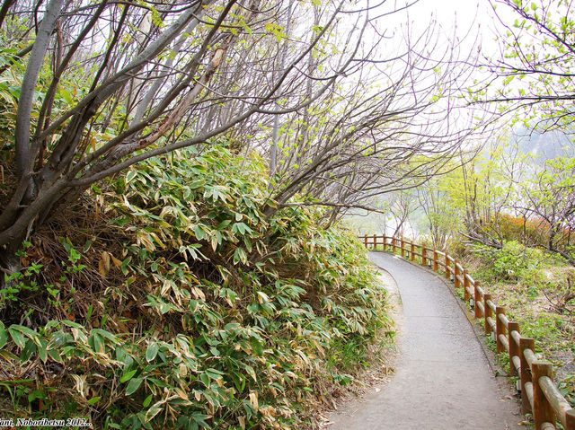 🌋 A Walk Through Hell Valley — Noboribetsu Jigokudani