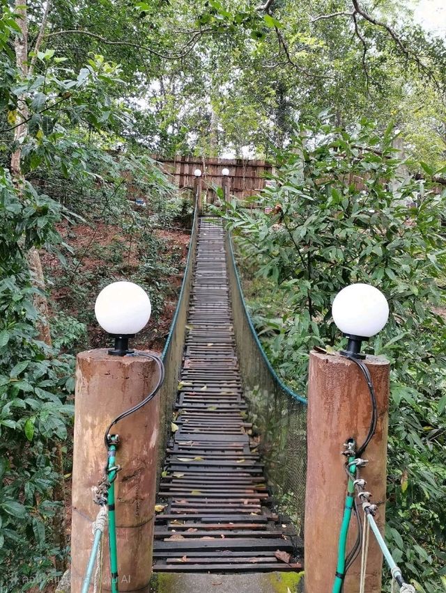 The Giant Chiangmai จ.เชียงใหม่