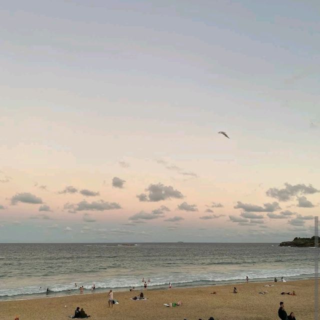 Coogee Beach & Rockpool