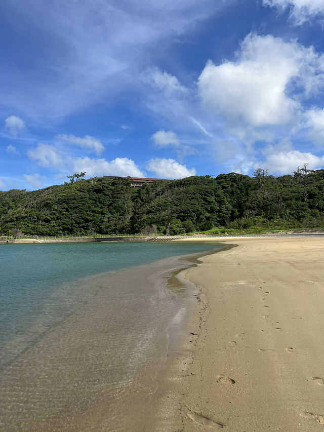 대마도 | 히타카츠 감성있는 여행지 3곳 추천 🏝️