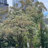 Carlton Gardens – Melbourne