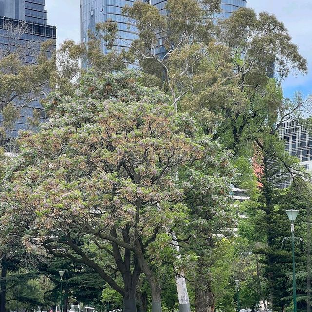 Carlton Gardens – Melbourne