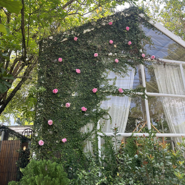 📍TREE TIME Cafe &Garden @Chumphon