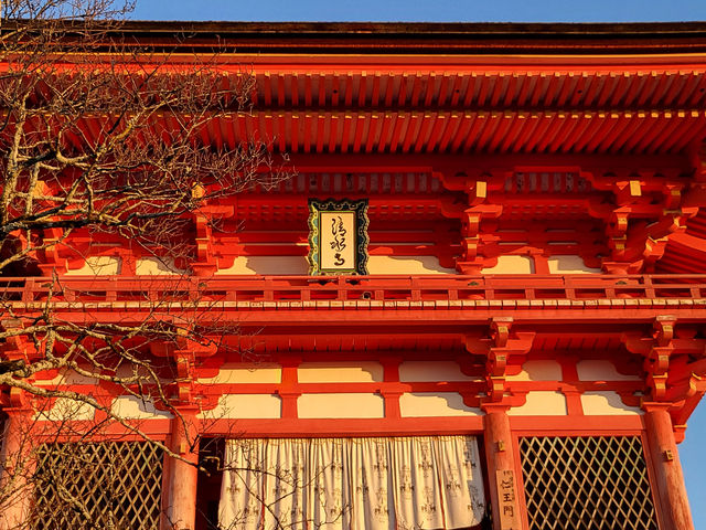 四季巡禮清水寺：京都名剎之美與儀式之心