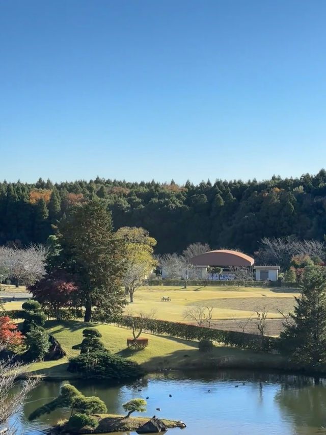 🇯🇵Ushiku Daibutsu — One of Japan’s Most Underrated Day Trips!