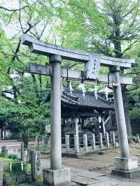 【日暮里 谷中霊園から谷中銀座 谷根千 日暮らしの里散歩】