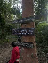 บ้านนาต้นจั่น: เสน่ห์ชนบทกลางหุบเขา