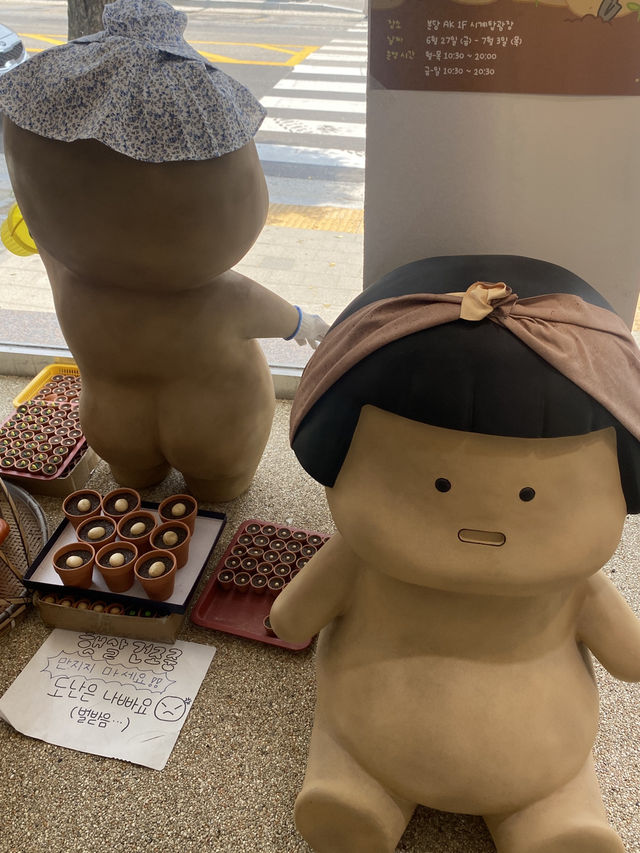 강릉 소품샵 삶은감자