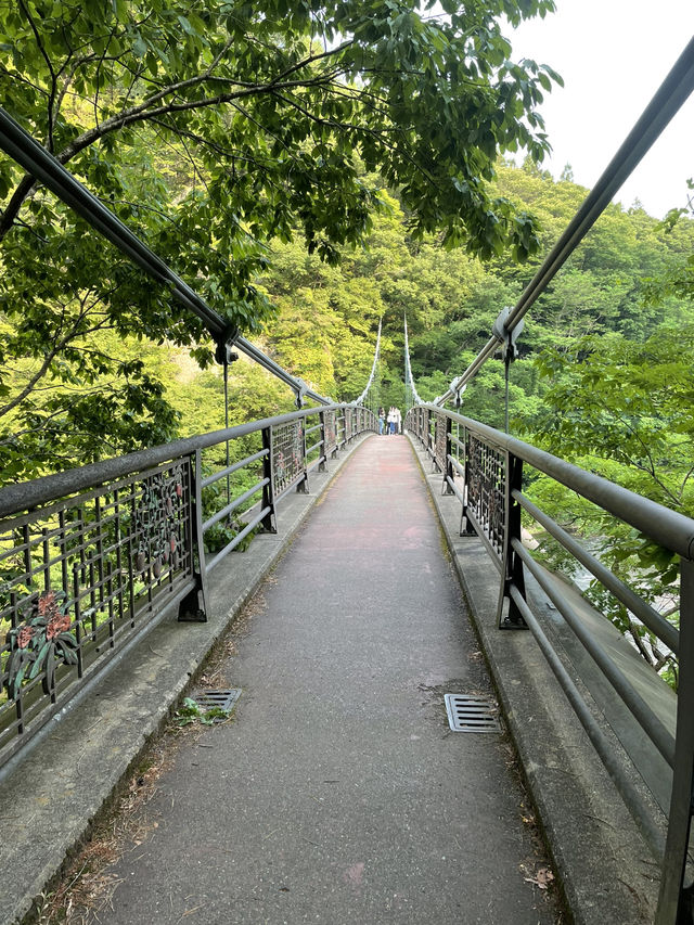 【群馬】東洋のナイアガラと言われる壮大な滝
