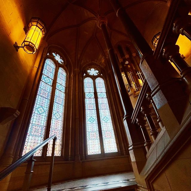 The university of manchester