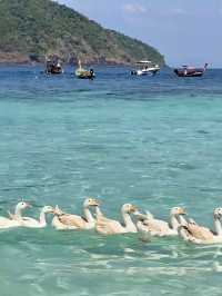 Banana Beach หาดกล้วยในภูเก็ต 🐚