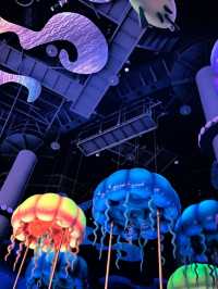 Dive into the Magic: Discover Tokyo DisneySea