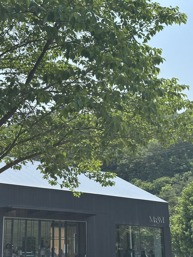 녹색 뷰가 너무 예쁜 통창뷰 카페