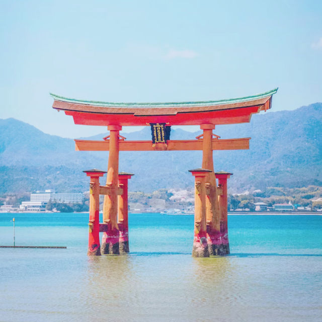 【広島の象徴】宮島⛩️