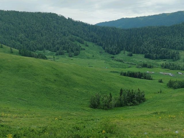 Hemu: A Serene Painting of Verdant Valleys