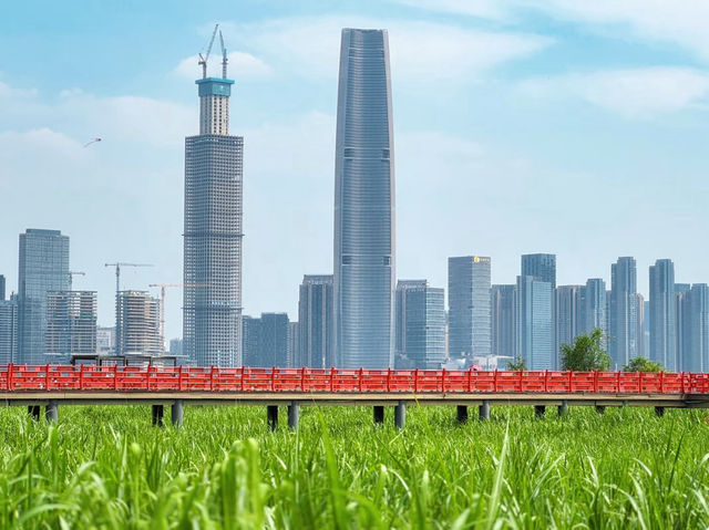 Hankou Beach Park 🌅🏞️