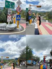 Khao yai Art Tree cafe ฟิลต่างประเทศมาก