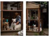 บ้านข้างวัด ชุมชนคนอาร์ตที่ต้องมาที่เชียงใหม่