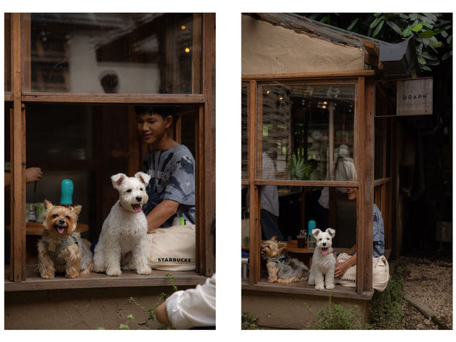 บ้านข้างวัด ชุมชนคนอาร์ตที่ต้องมาที่เชียงใหม่
