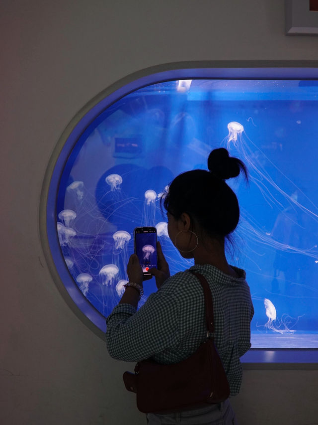 桃園沈浸式水族館 feat. 期間限定光影展