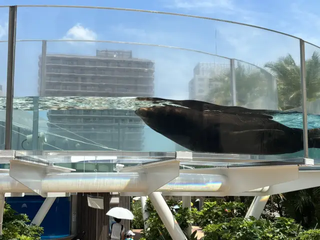 （東京）攝影棚導覽 →太陽城