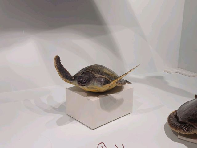 인천 국립 해양박물관 둘러보기