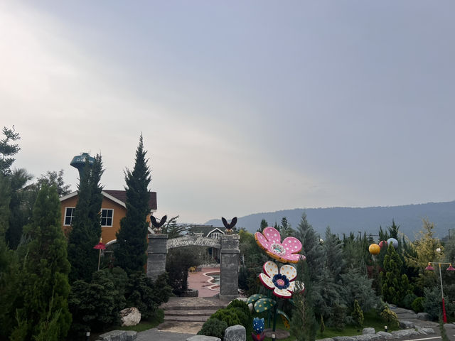 Khaoyai Art tree 