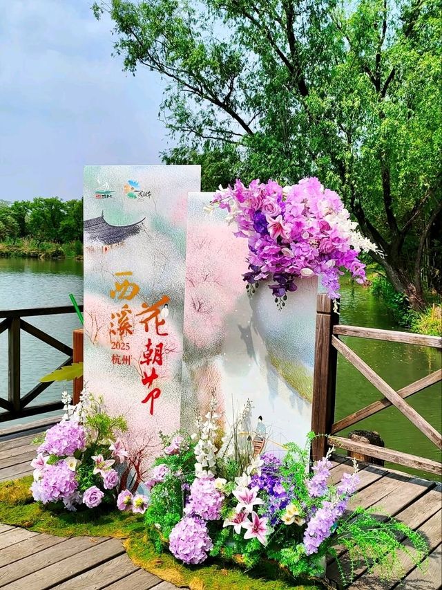 Xixi Wetland: Where Watertown Charm Meets Untamed Nature – A Living Canvas of Jiangnan