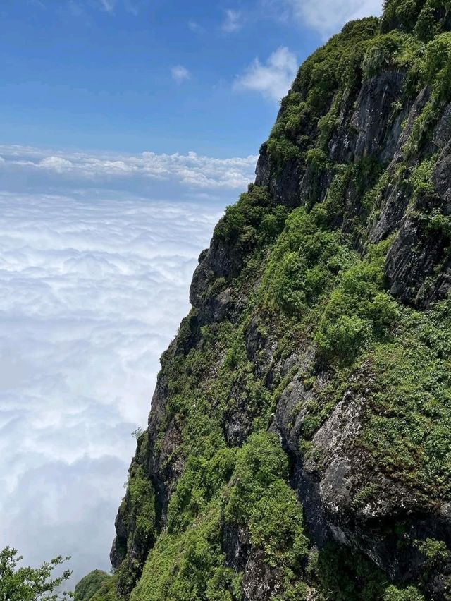 Mount Emei in Sichuan, Monks Mist and Mountain Magic Mount Emei in Sichuan, Monks Mist and Mountain Magic