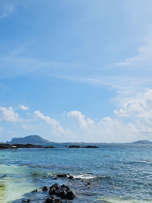 A Photographer's Dream of Vivid Colors and Textures