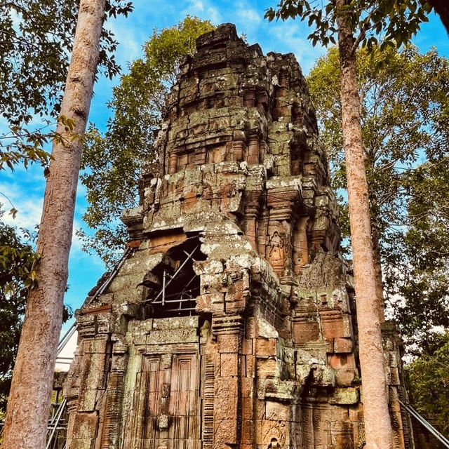 🌿 Ancient Wonders & Solo Adventures: Angkor Wat, Cambodia! 🏛️