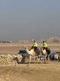 Dune Churches & Salt-Souled Silence: 14 Days Chasing Alexander’s Ghost To Cleopatra’s Last Bath